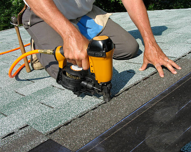 Roof Gutter Cleaning in Walthourville, GA