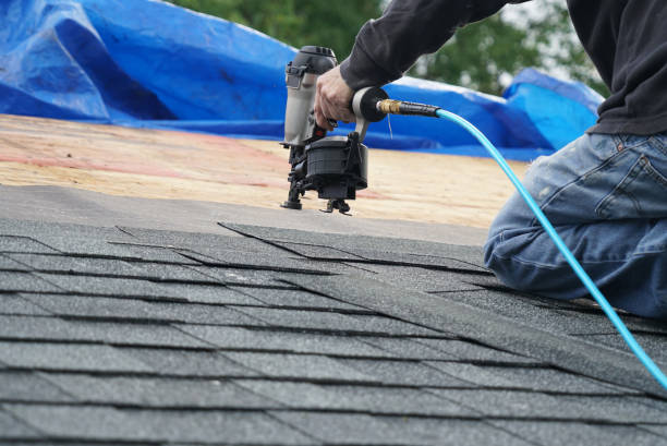 Best Flat Roof Repair Services  in Walthourville, GA