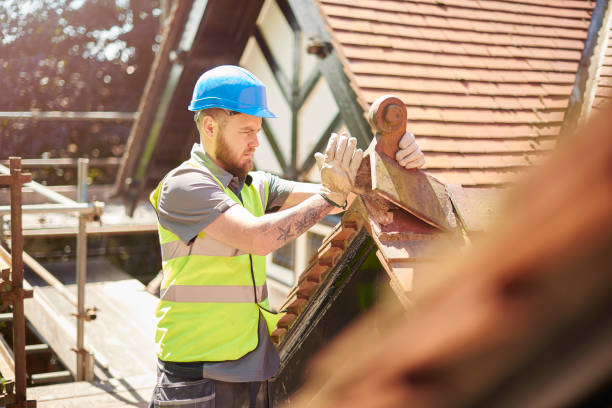 Best Storm Damage Roof Repair  in Walthourville, GA