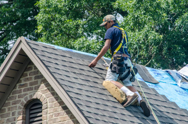Best Residential Roofing Contractor  in Walthourville, GA